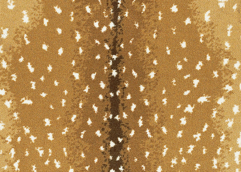 Cape Town Animal Print Pattern Indoor Area Rug Collection - Sample