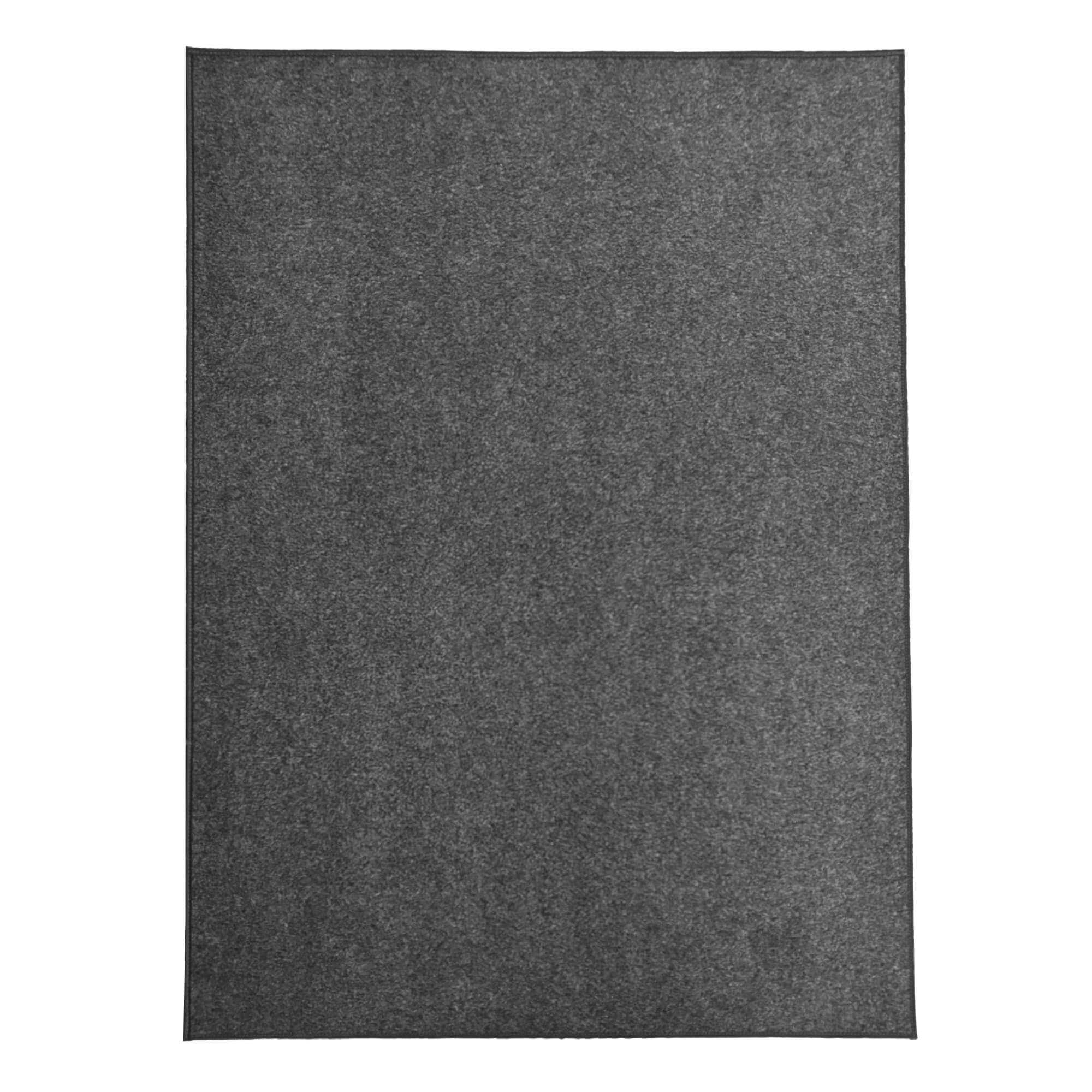 Economical Indoor/Outdoor Carpet Rug (10 Colors)