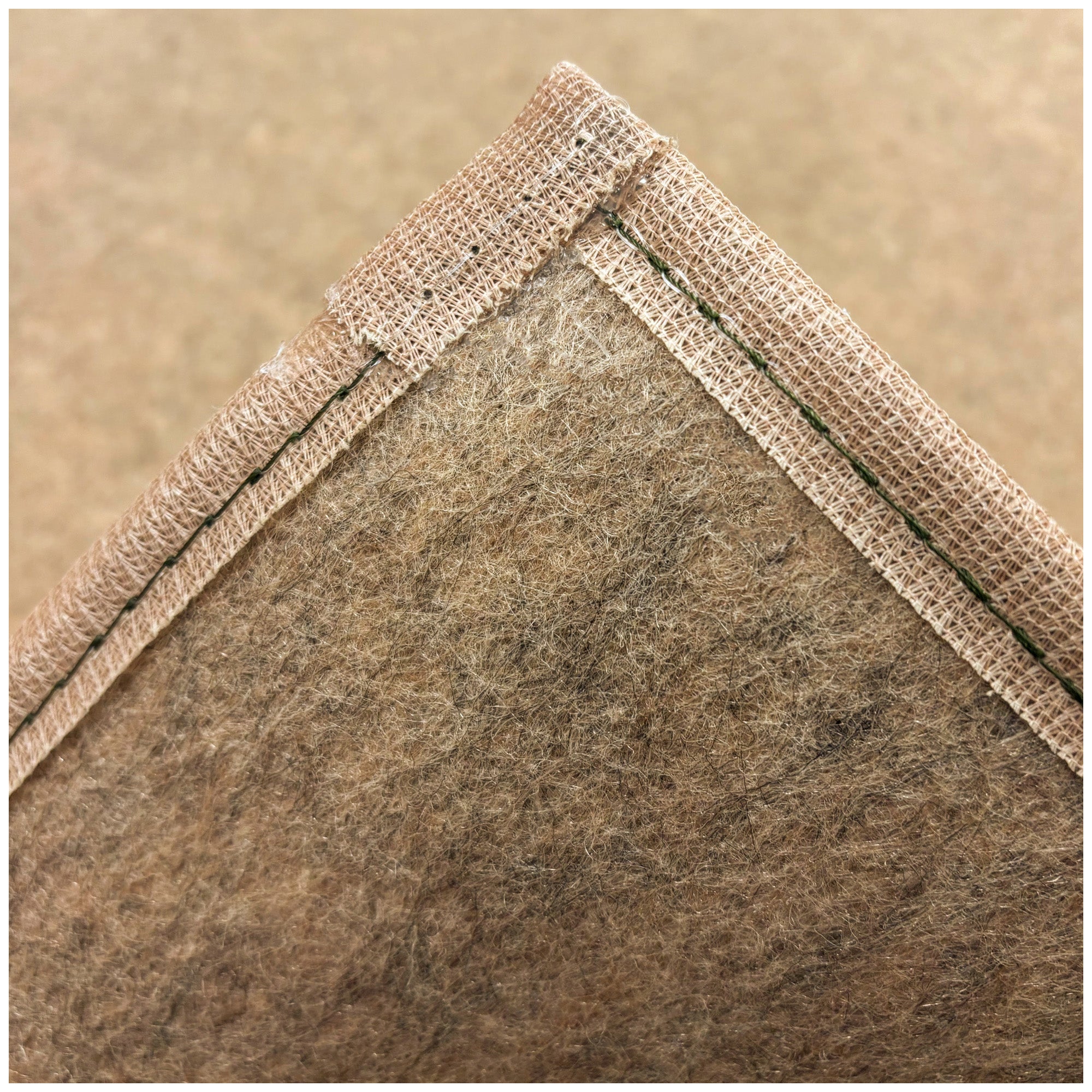 Economical Indoor/Outdoor Carpet Rug (10 Colors)