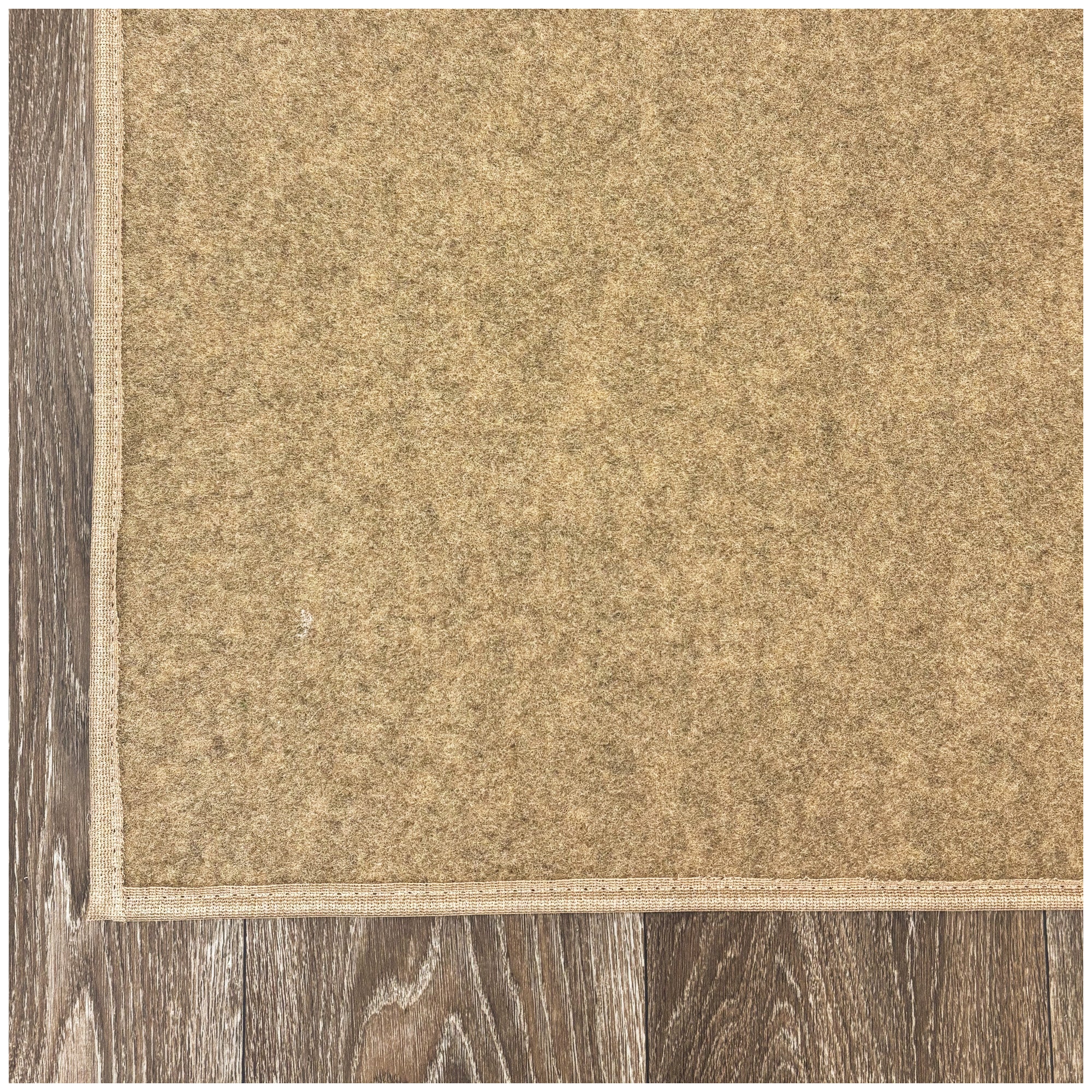 Economical Indoor/Outdoor Carpet Rug (10 Colors)