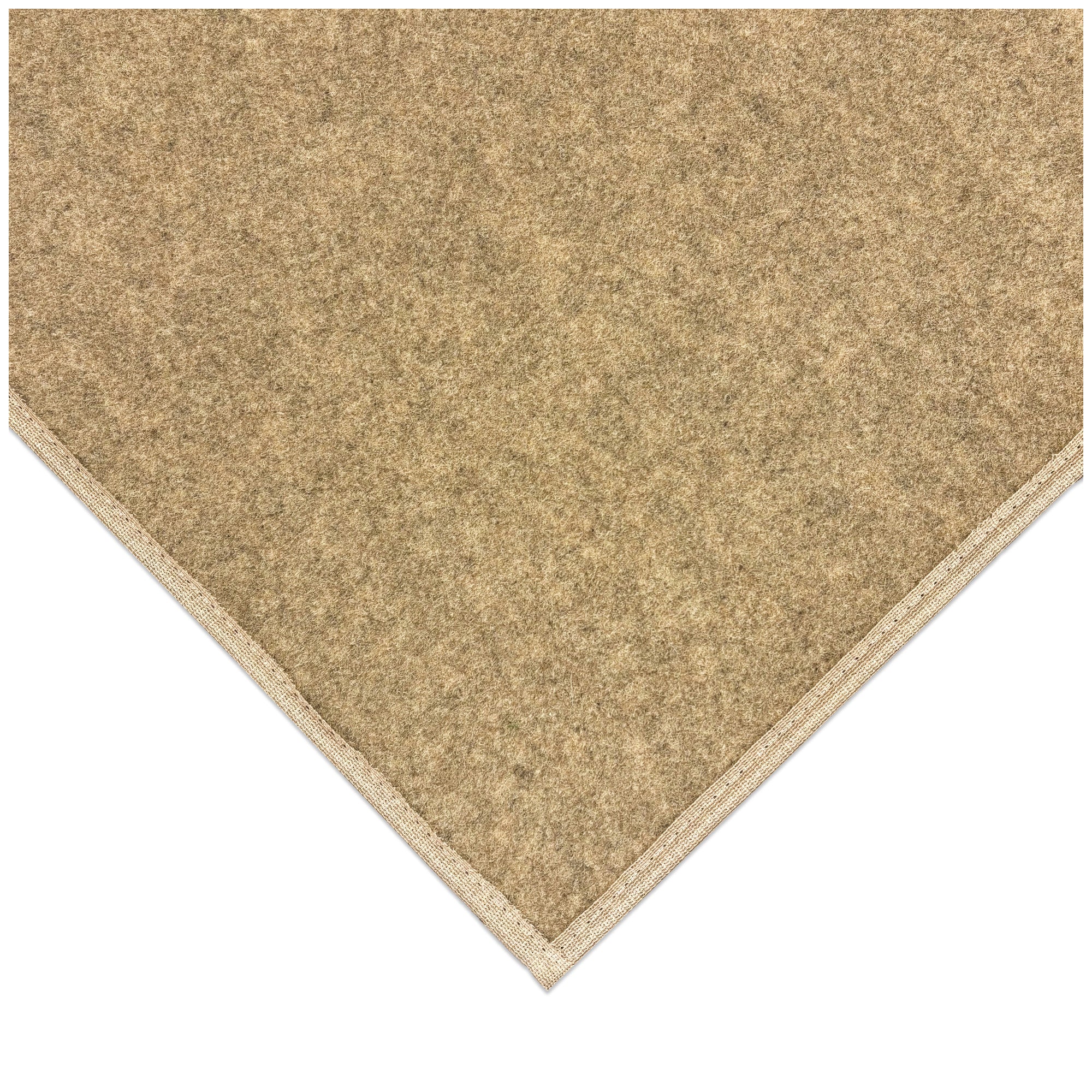 Economical Indoor/Outdoor Carpet Rug (10 Colors)