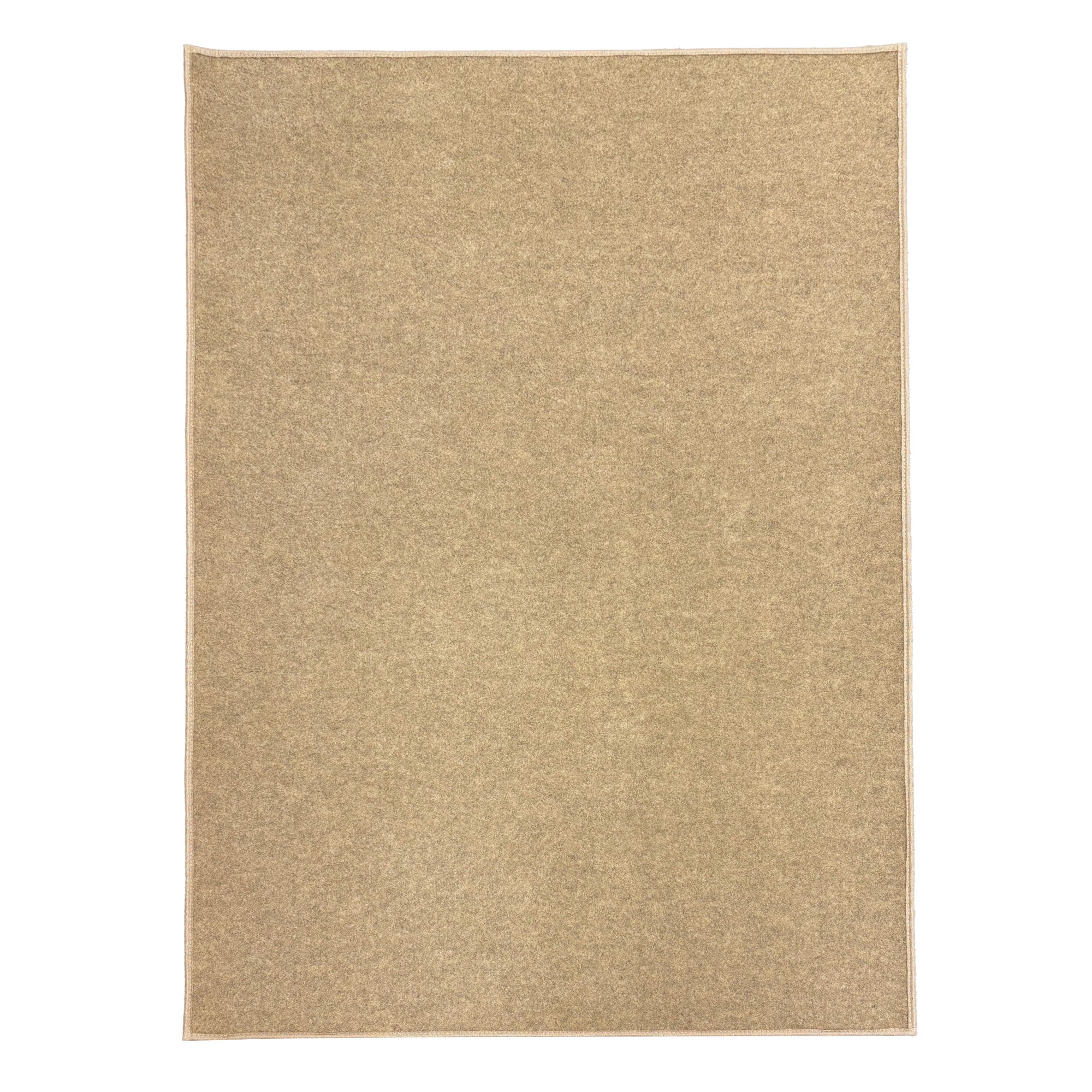 Economical Indoor/Outdoor Carpet Rug (10 Colors)