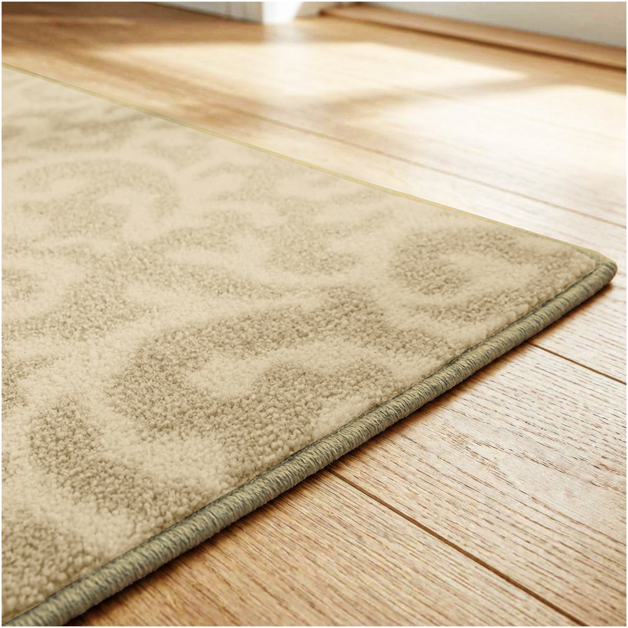 Milliken Coral Springs Indoor Area Rug | Standard Sizes & Color Options