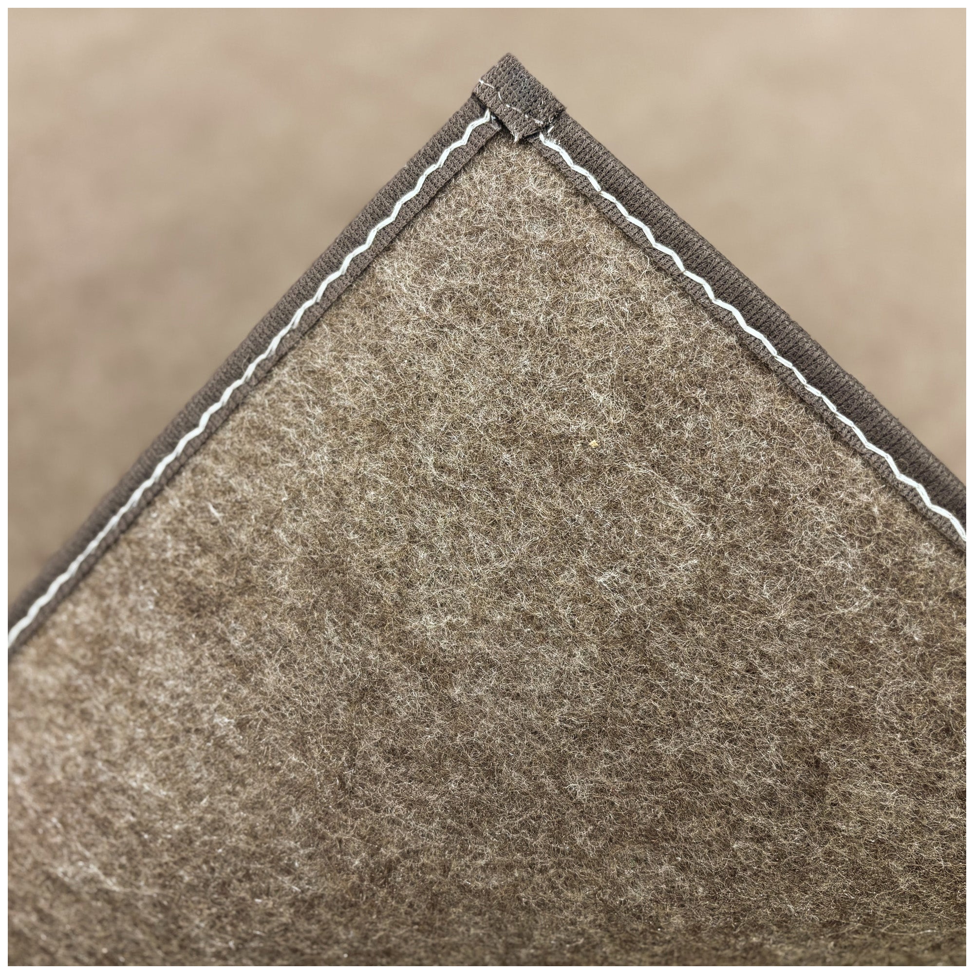 Economical Indoor/Outdoor Carpet Rug (10 Colors)