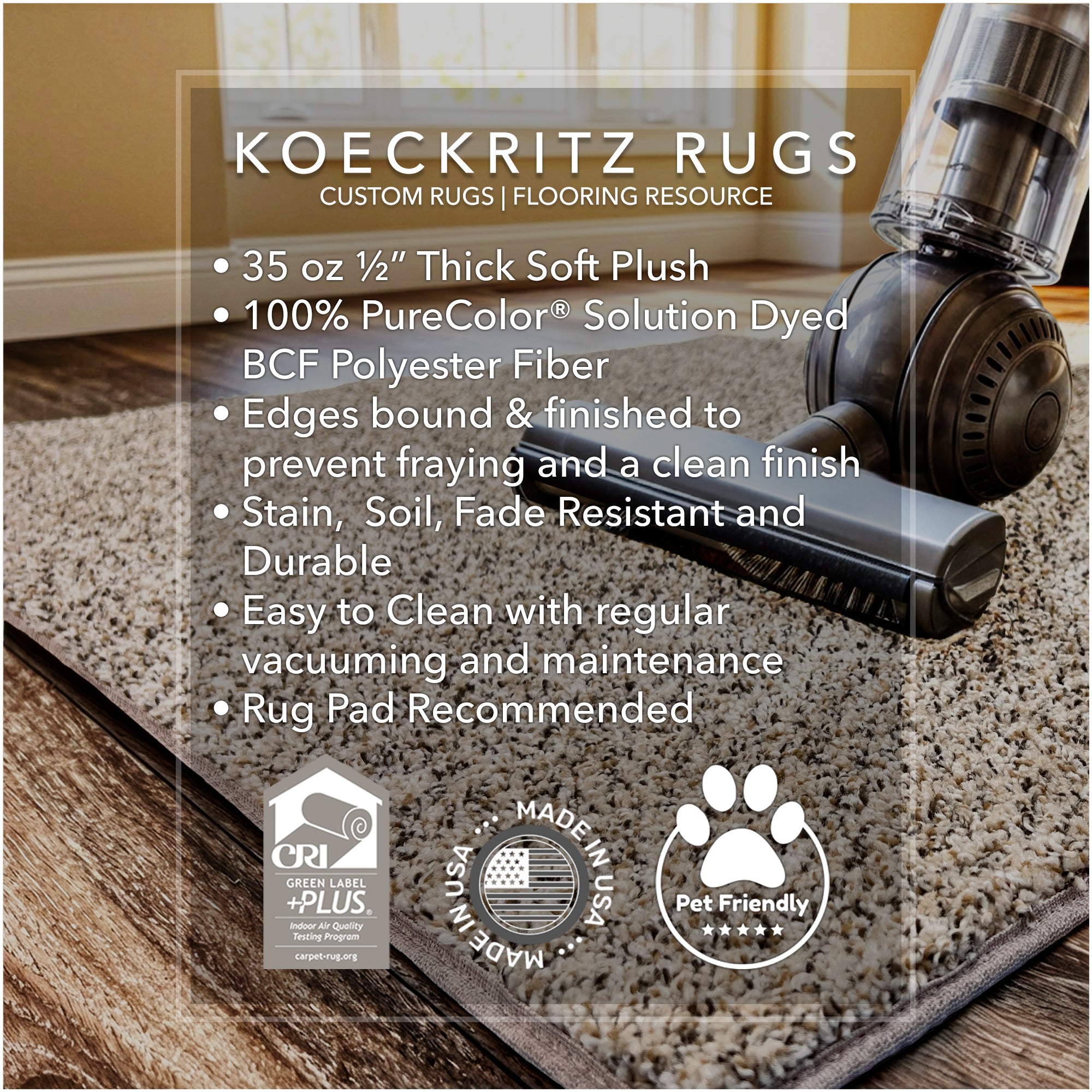West Brow Indoor Frieze Area Rug Collection