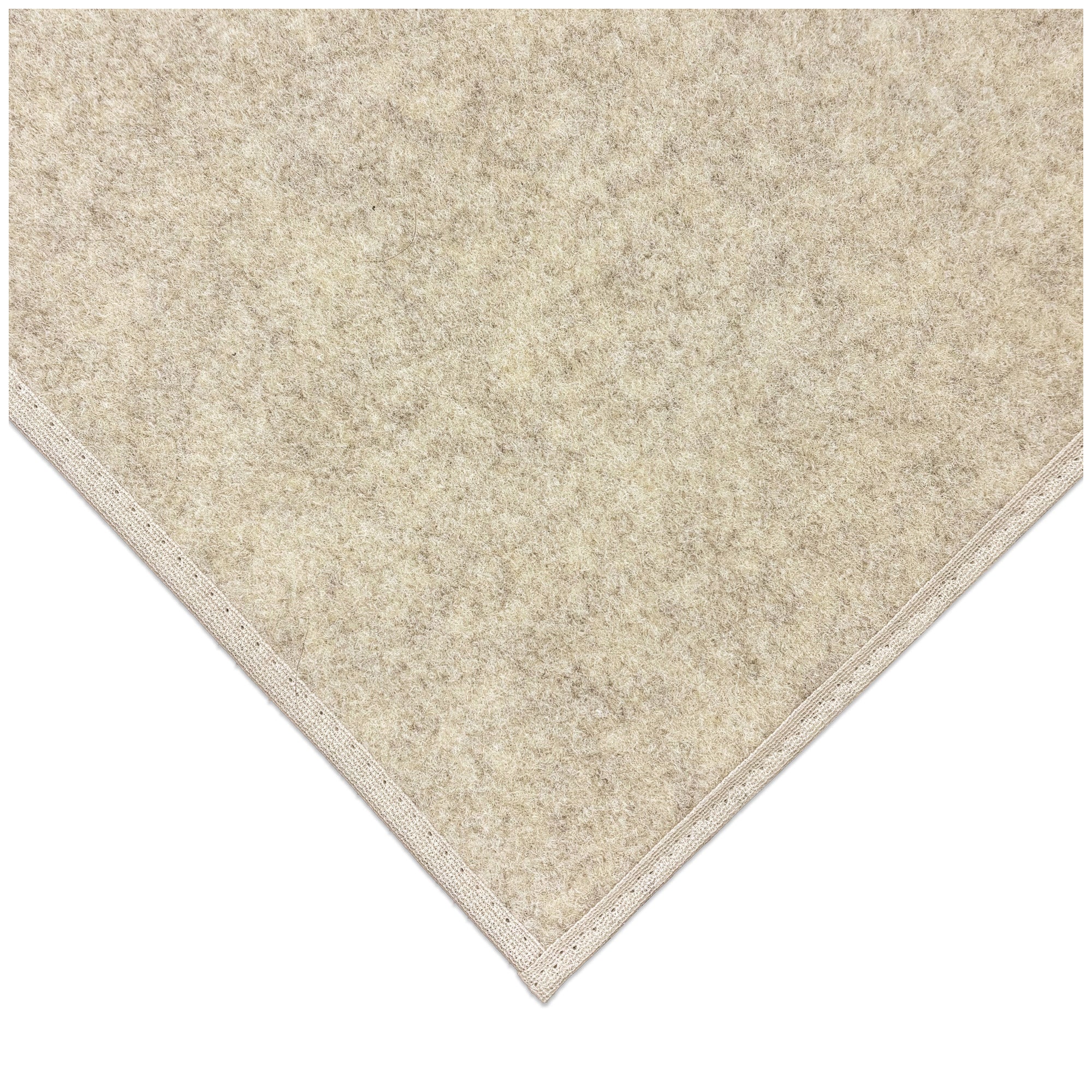 Economical Indoor/Outdoor Carpet Rug (10 Colors)