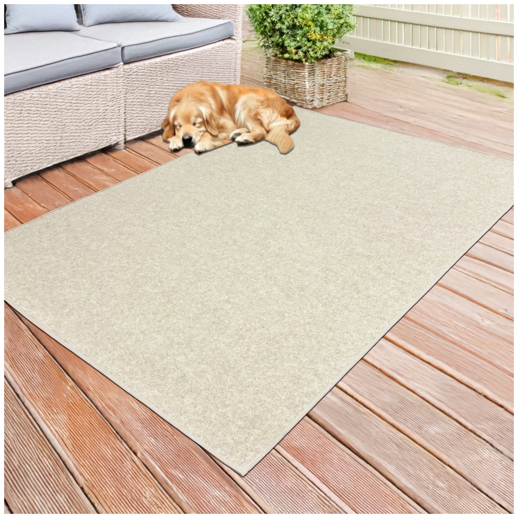 Economical Indoor/Outdoor Carpet Rug (10 Colors)