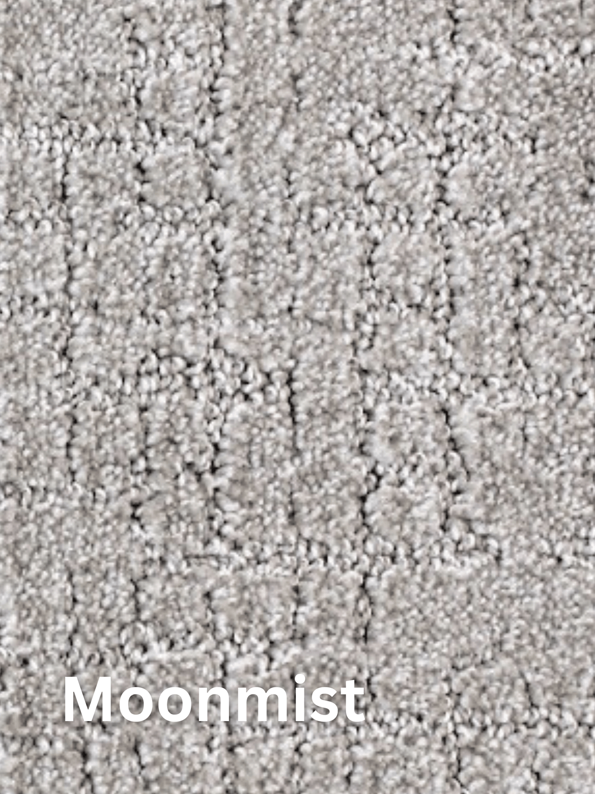 Modern Edge Cut & Loop Indoor Area Rug – Custom Sizes