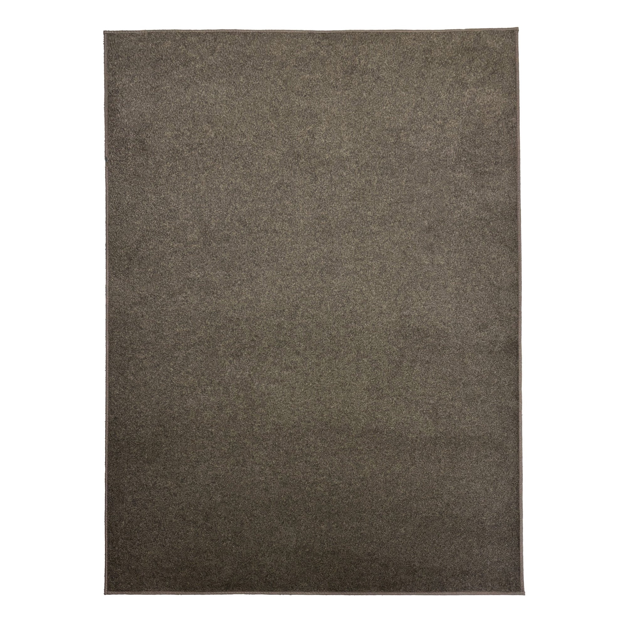 Economical Indoor/Outdoor Carpet Rug (10 Colors)