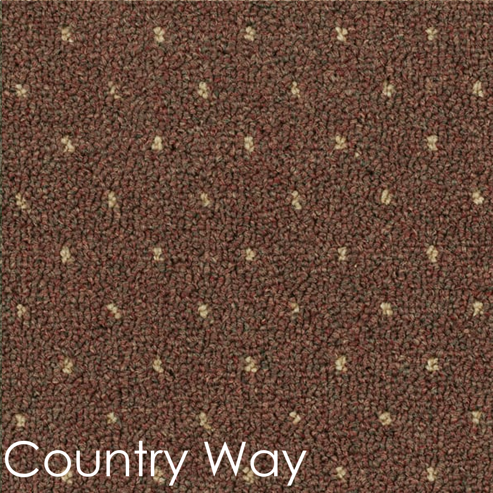 Power Point II Dog Assist Carpet Stair Treads - Sample