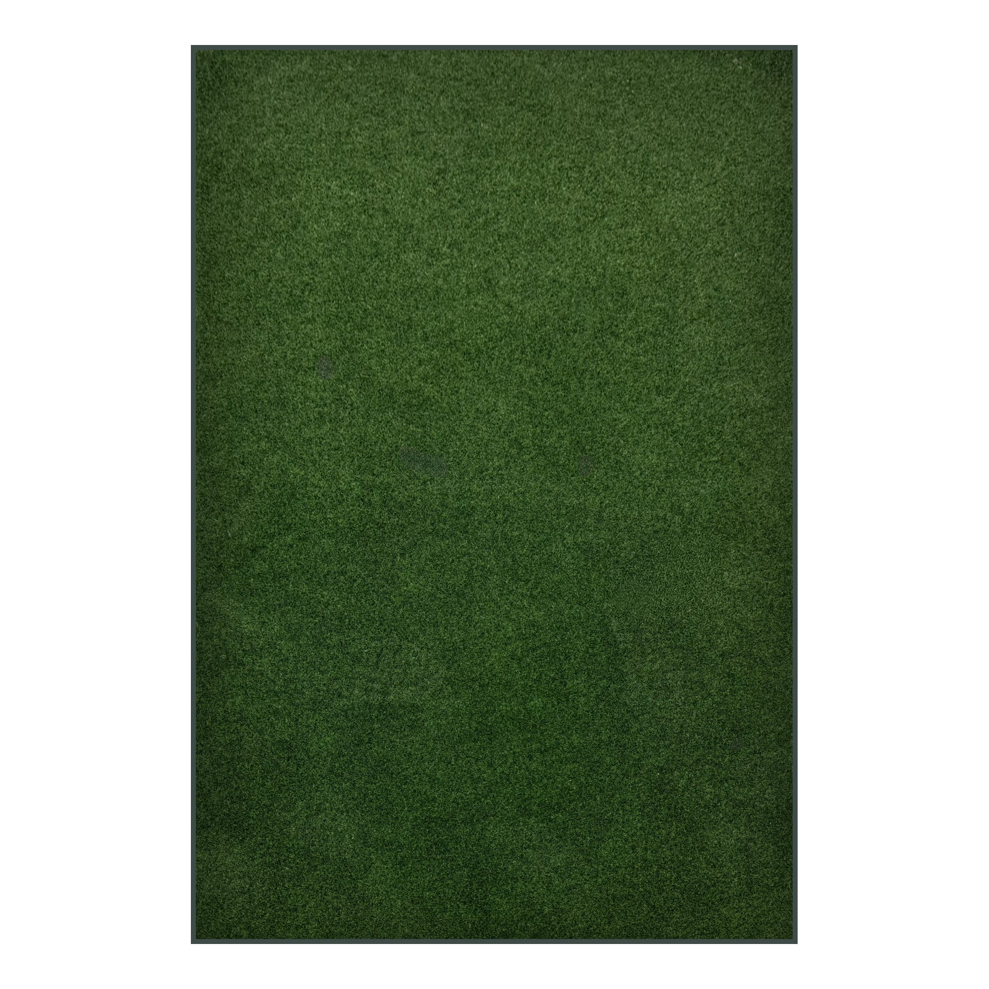 Grizzly Turf Indoor/Outdoor Area Rug – Durable, Weatherproof, Custom Cut