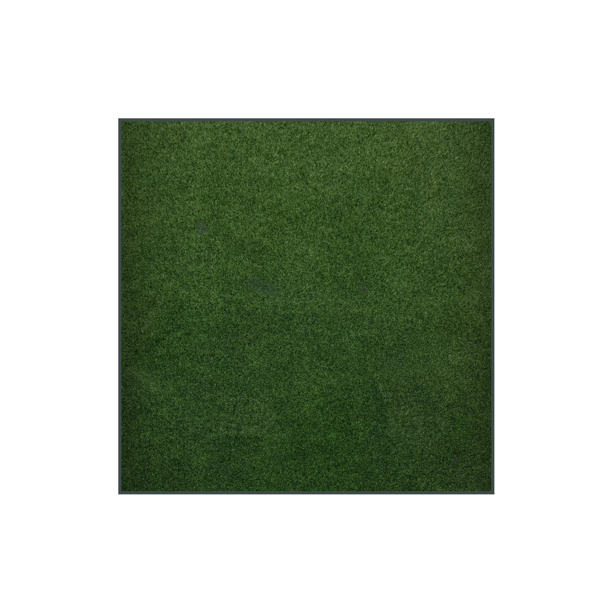 Grizzly Turf Indoor/Outdoor Area Rug – Durable, Weatherproof, Custom Cut