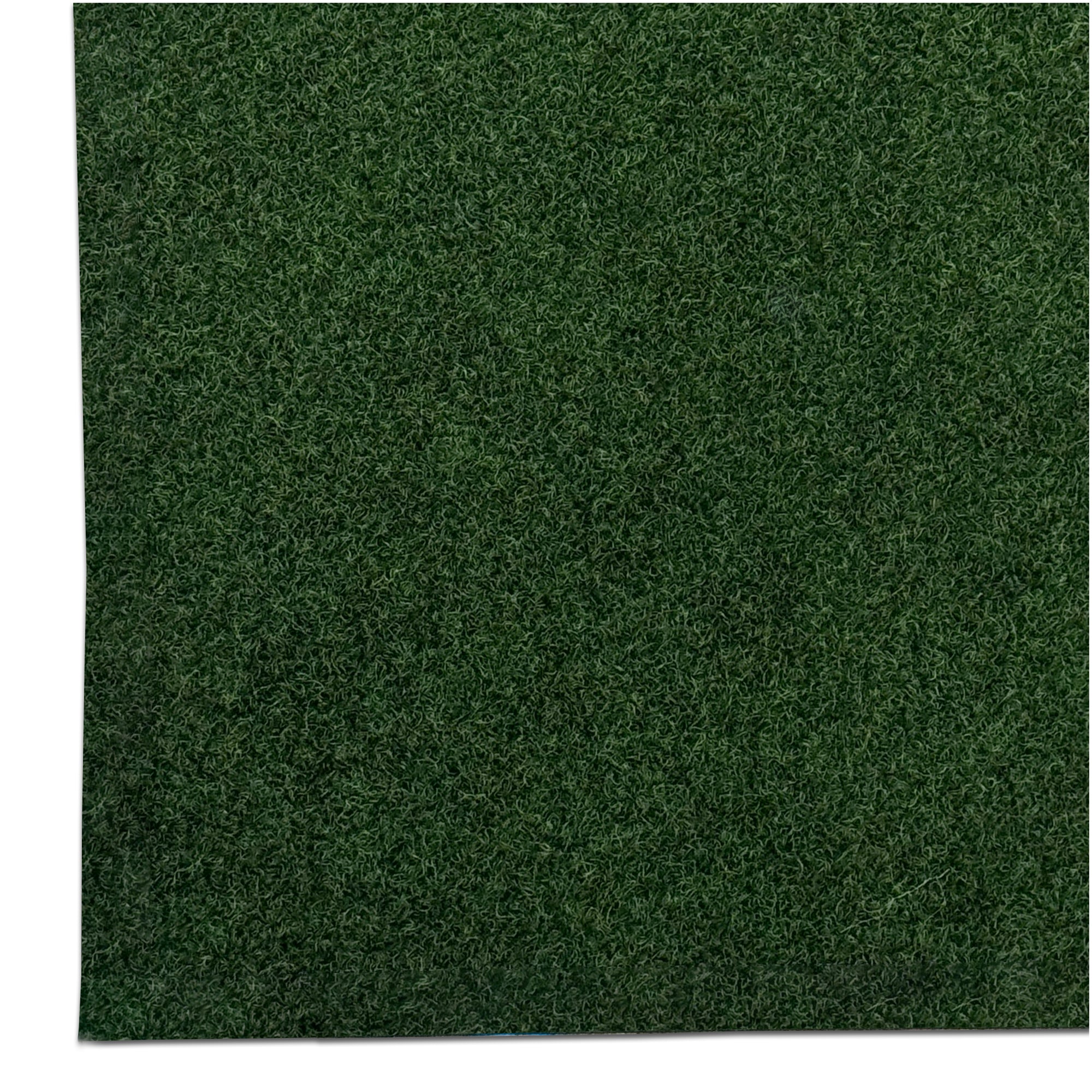 Grizzly Turf Indoor/Outdoor Area Rug – Durable, Weatherproof, Custom Cut - Sample