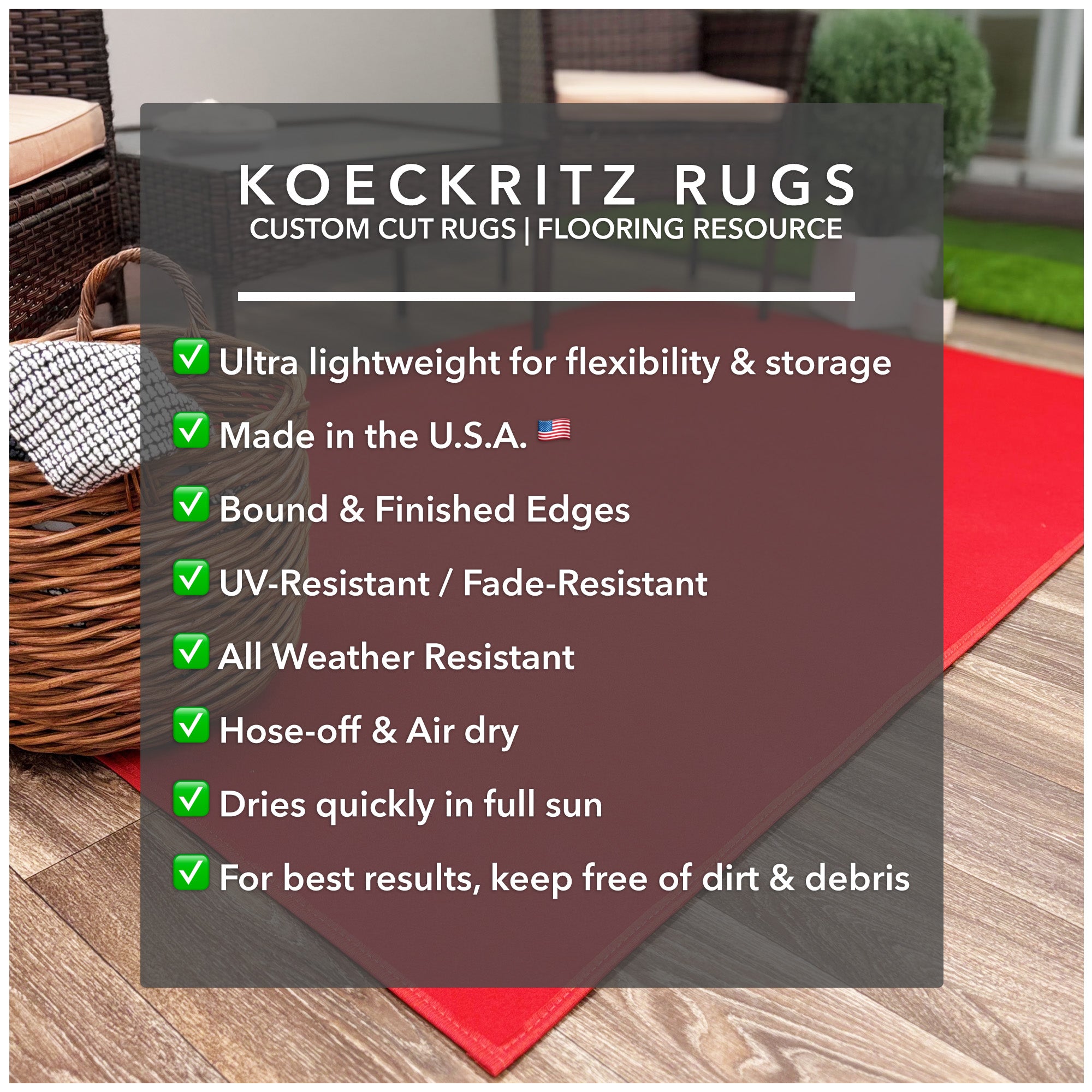 Economical Indoor/Outdoor Carpet Rug (10 Colors)