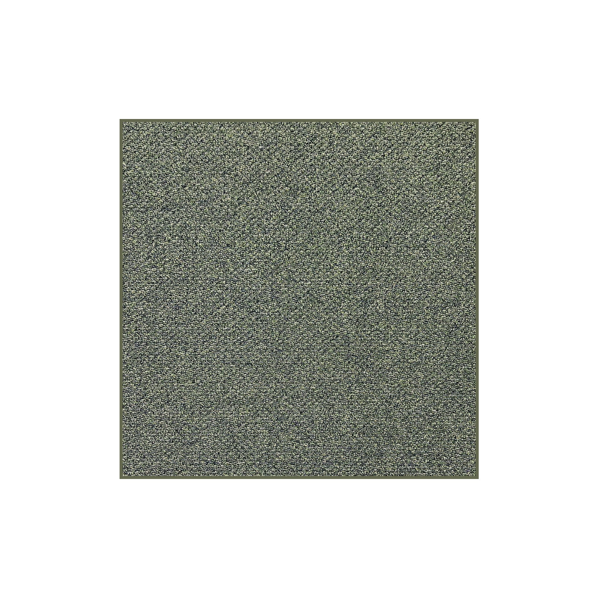 Natural Path Indoor/Outdoor Area Rug – Custom Sizes, 6 Colors