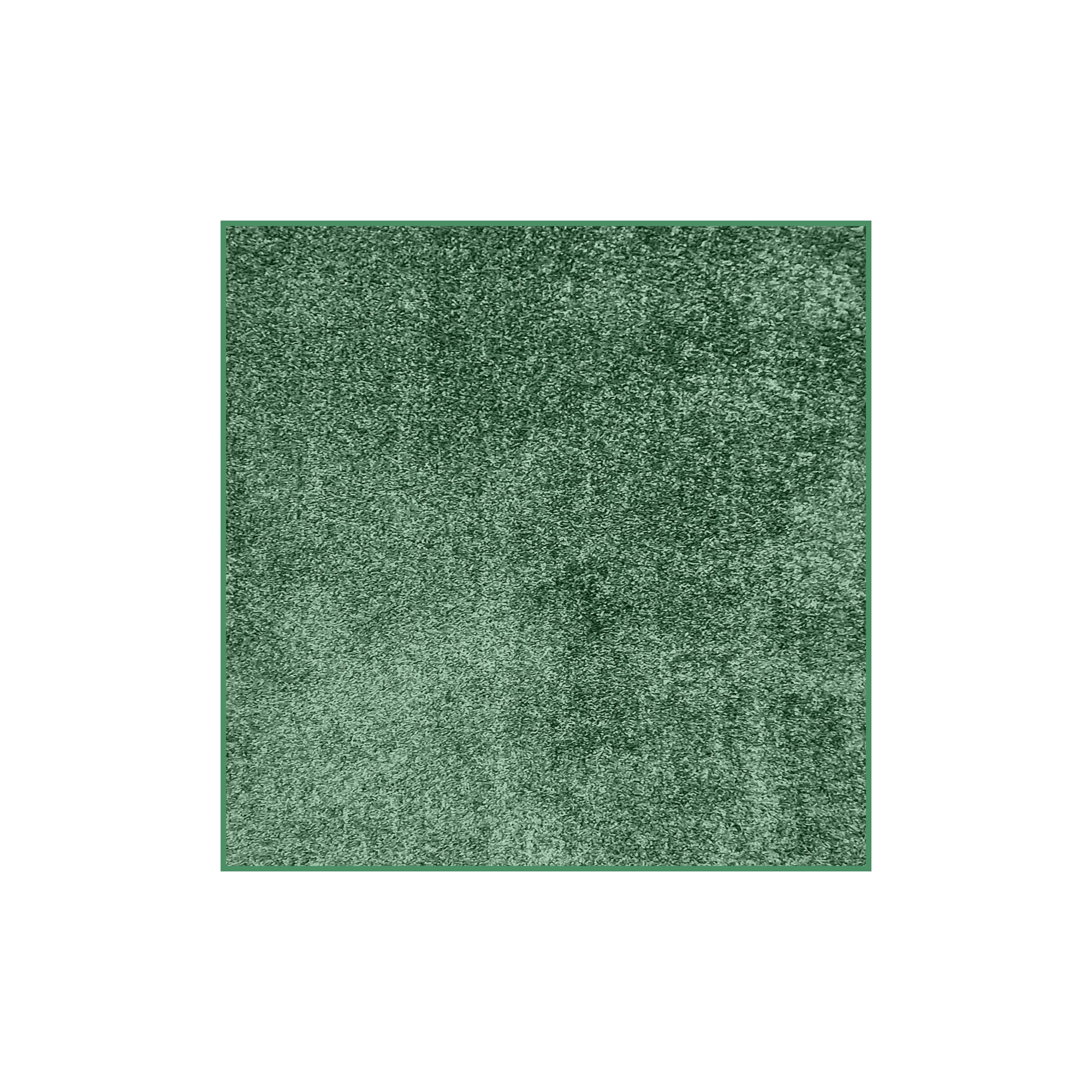 Full Court Indoor Frieze Area Rug – 25 oz Plush Pile, 2 Colors