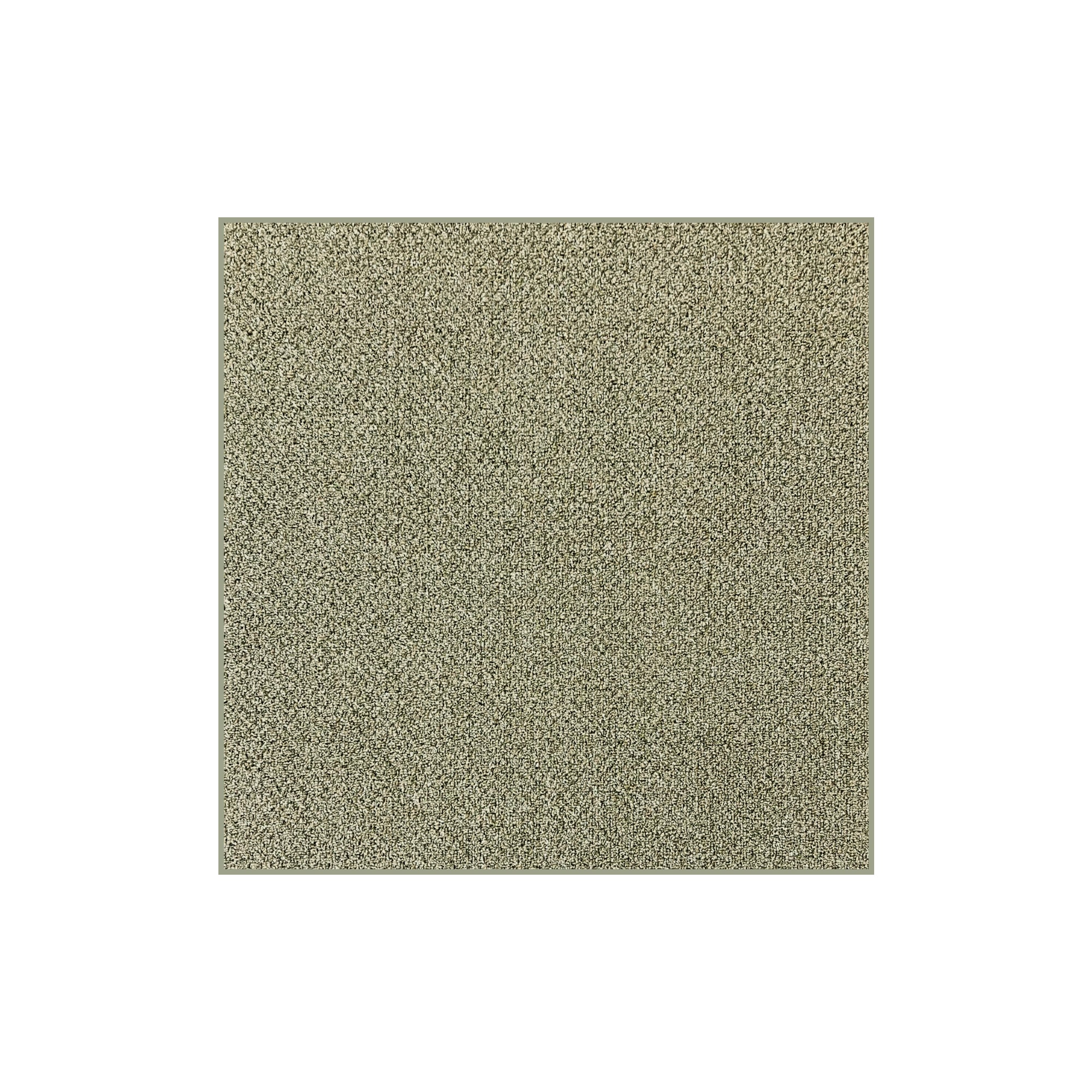 Natural Path Indoor/Outdoor Area Rug – Custom Sizes, 6 Colors