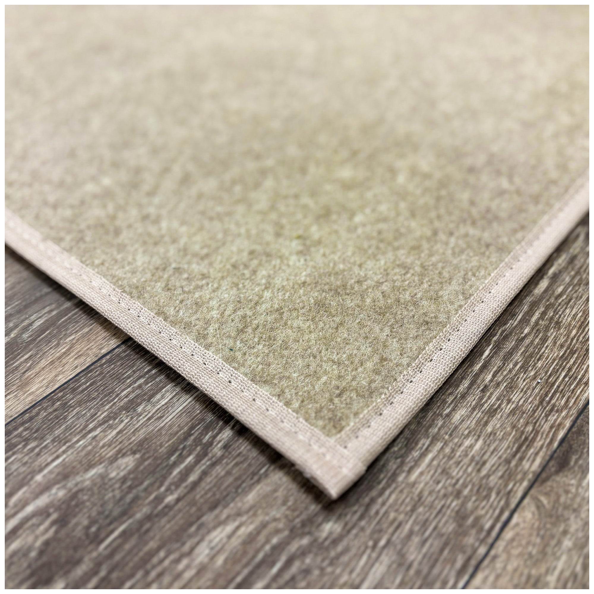 Economical Indoor/Outdoor Carpet Rug (10 Colors)