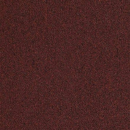 Outside Agenda Indoor Outdoor Rug | Durable Level Loop Rug in Custom Sizes