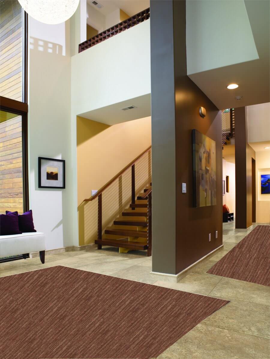 Basis Dog Assist Carpet Stair Treads – Nylon, Non-Slip | Multiple Colors & Custom Sizes