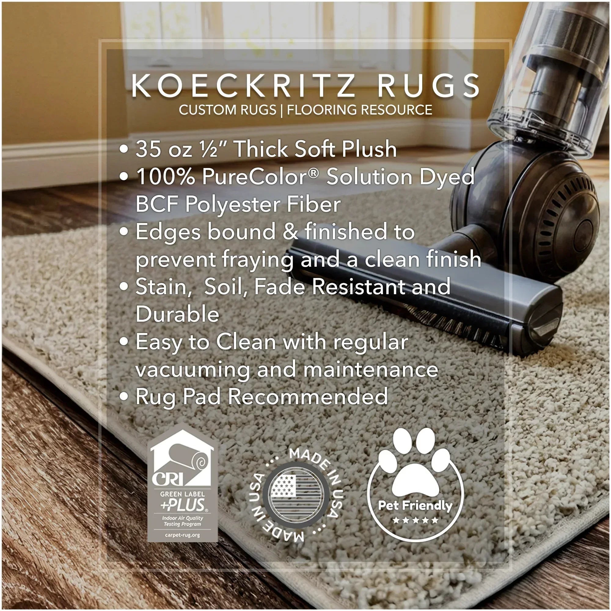 West Brow Indoor Frieze Area Rug Collection