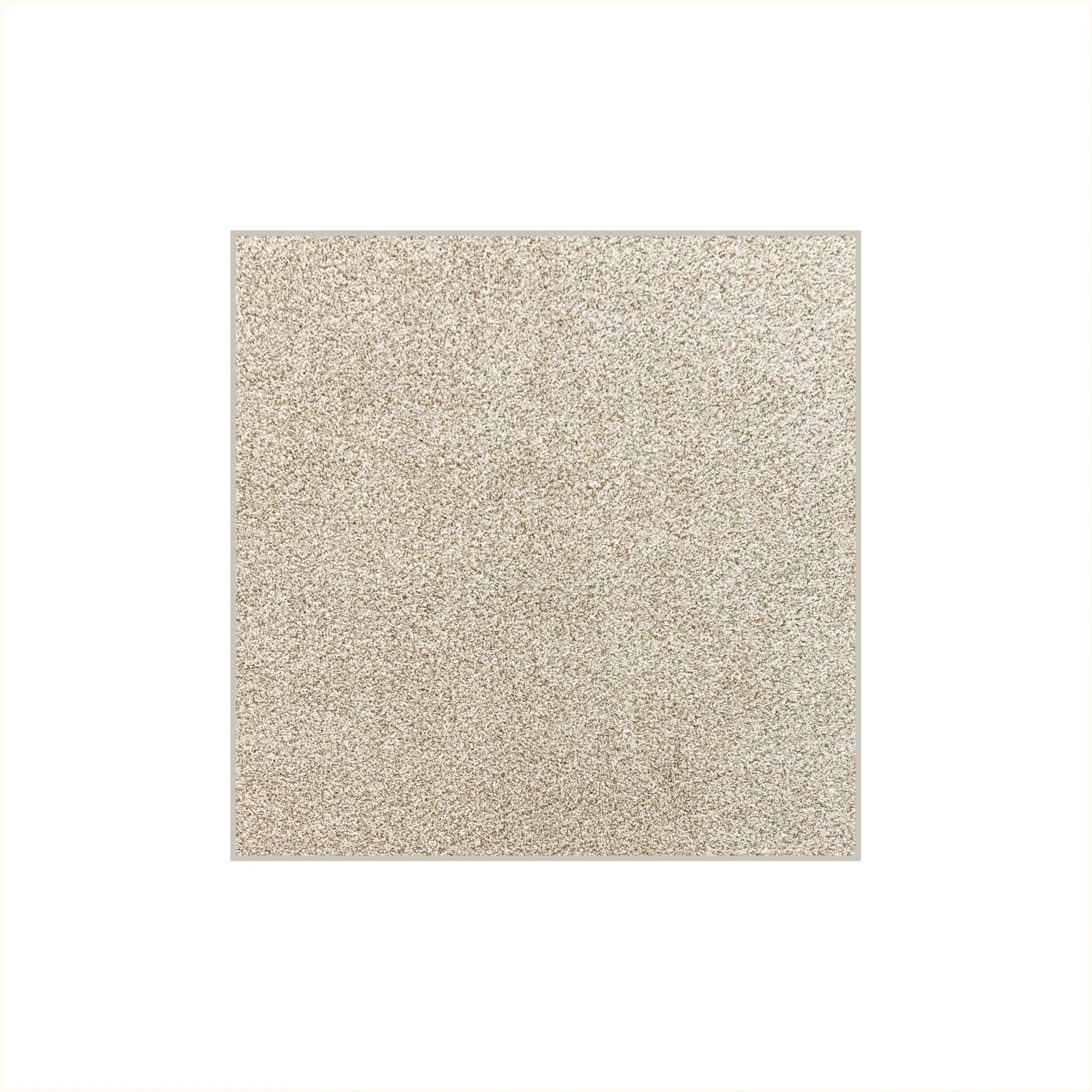 West Brow Indoor Frieze Area Rug Collection