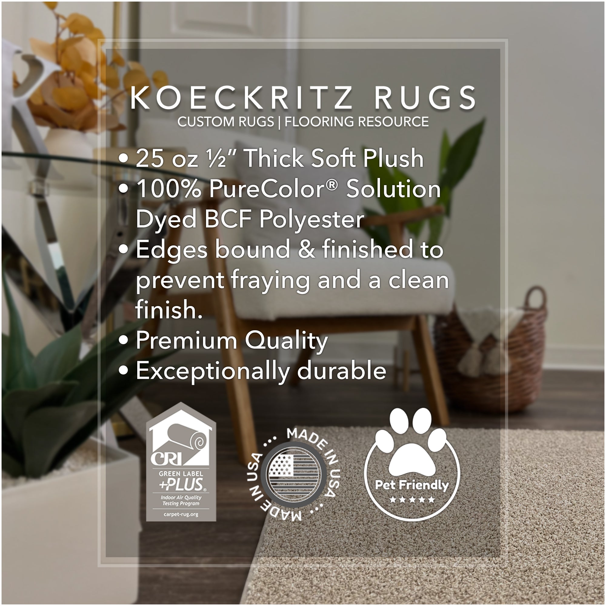 Soft & Cozy Cornerstone Frieze Area Rug