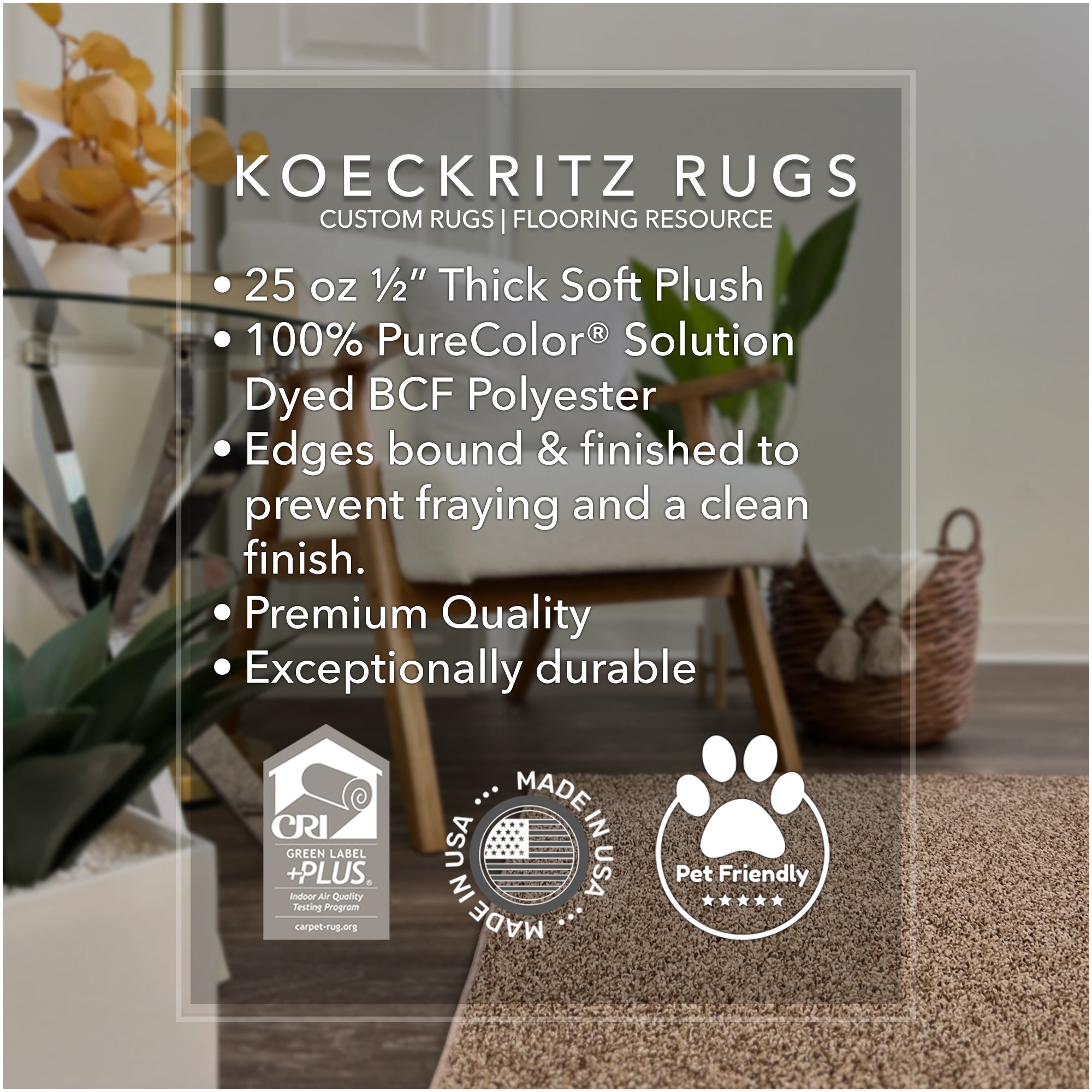 Soft & Cozy Cornerstone Frieze Area Rug