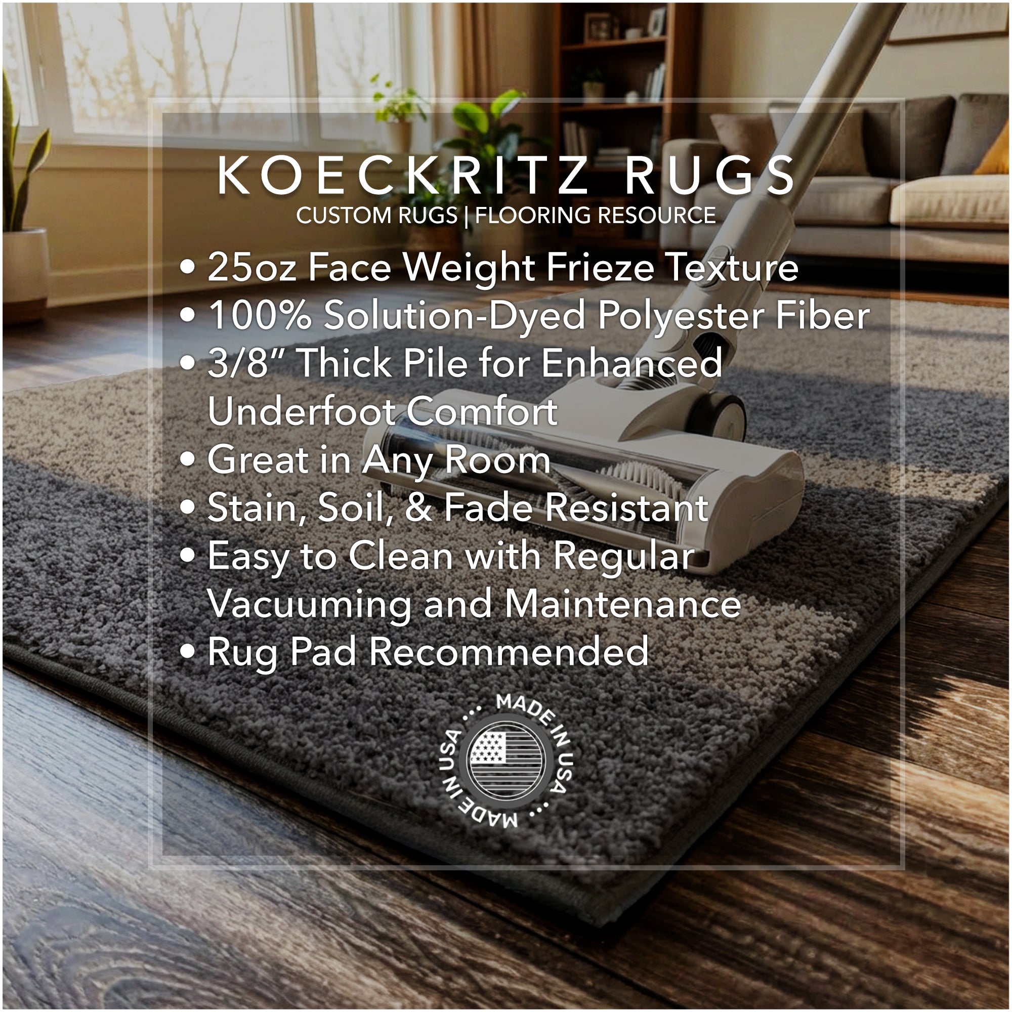 Full Court Indoor Frieze Area Rug – 25 oz Plush Pile, 2 Colors