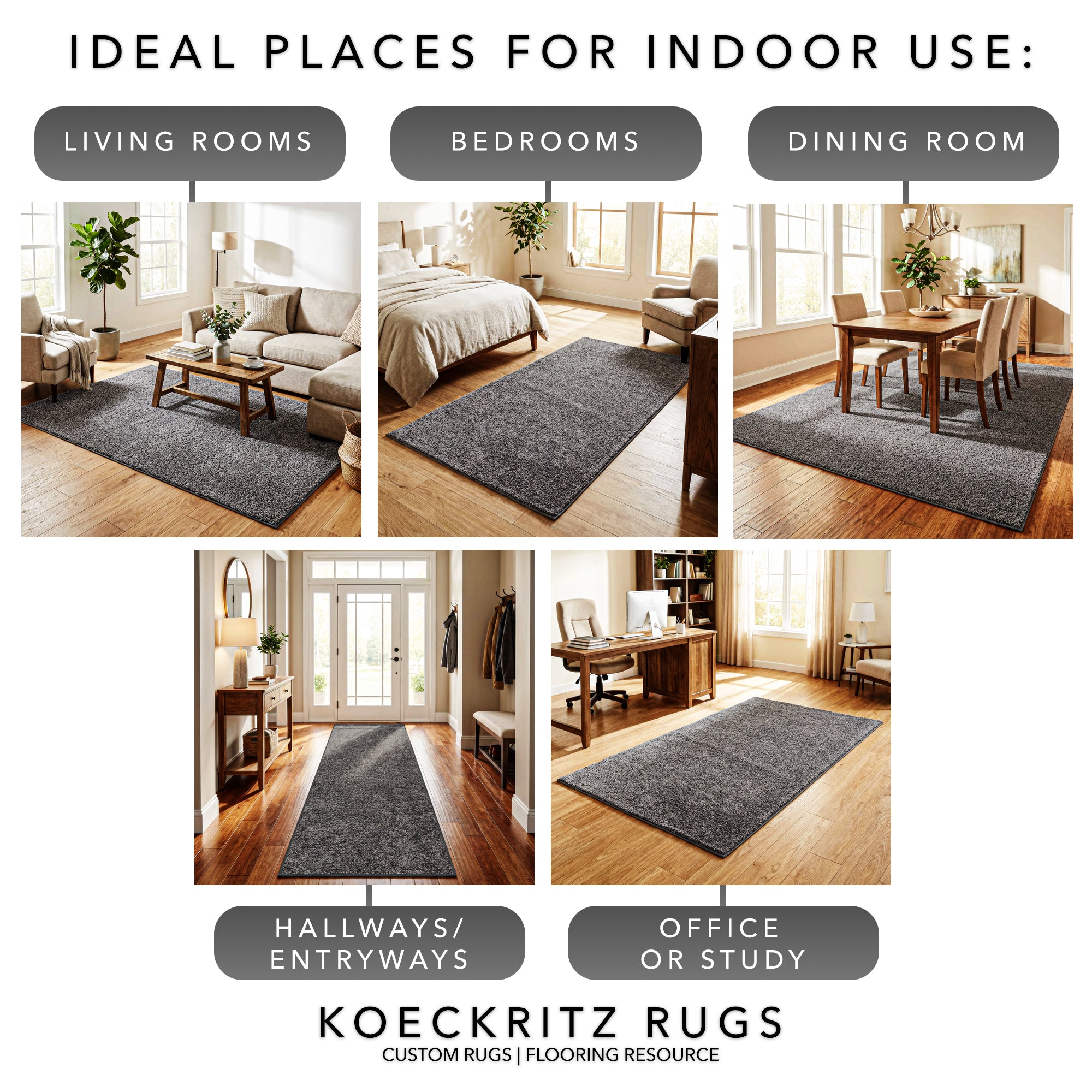 Full Court Indoor Frieze Area Rug – 25 oz Plush Pile, 2 Colors