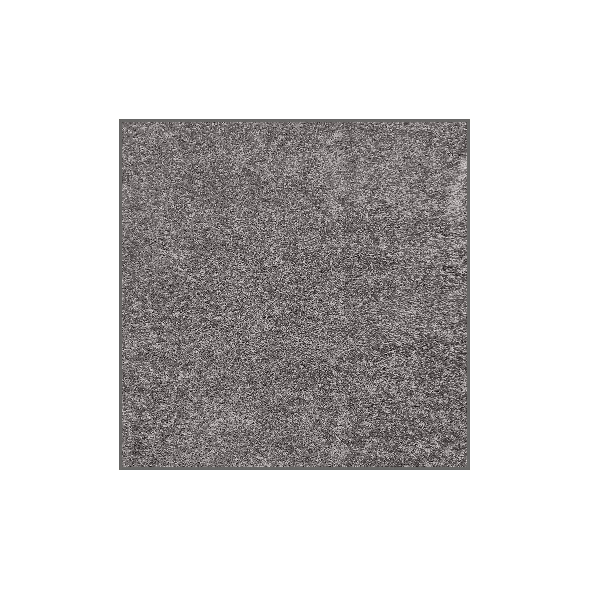 Full Court Indoor Frieze Area Rug – 25 oz Plush Pile, 2 Colors