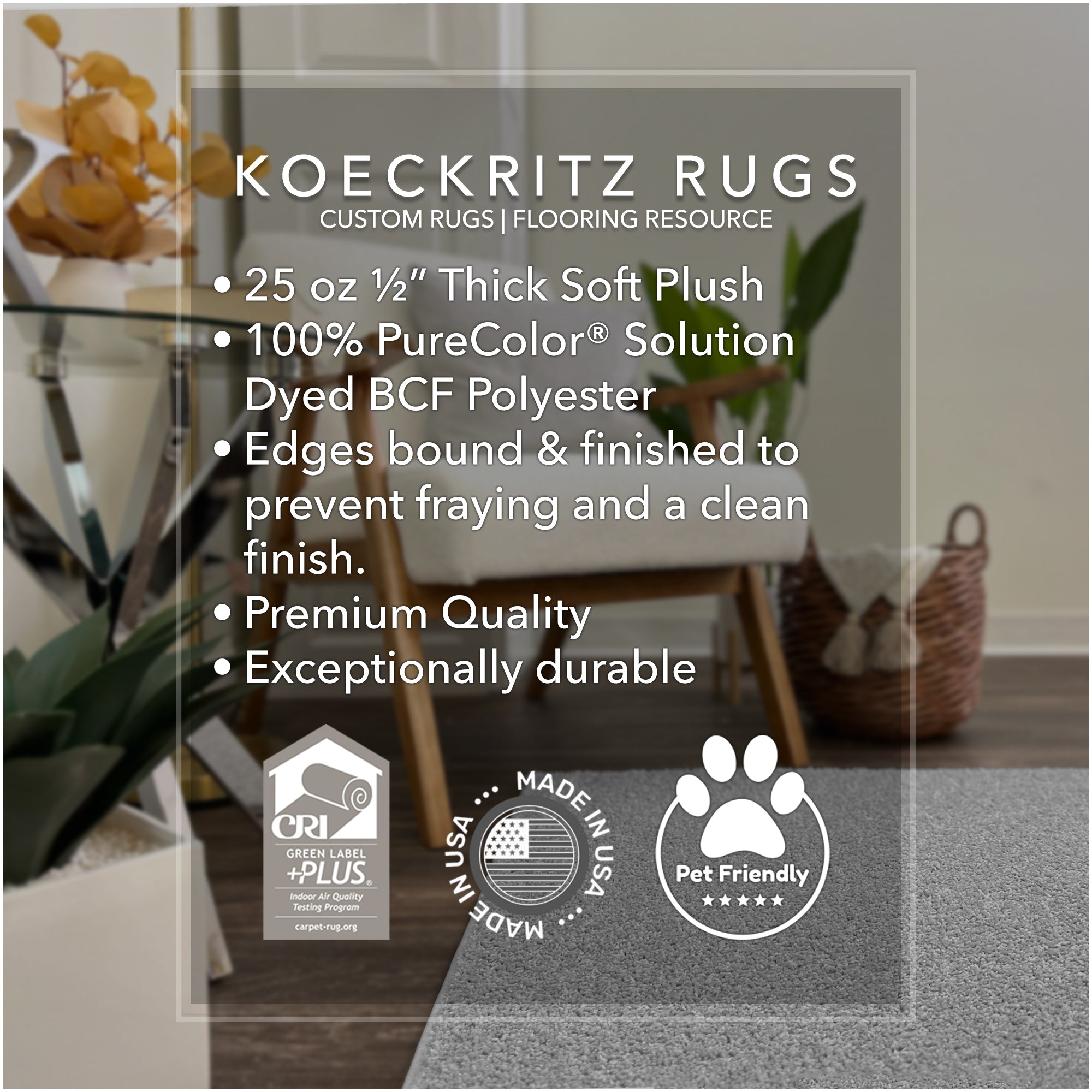 Soft & Cozy Cornerstone Frieze Area Rug