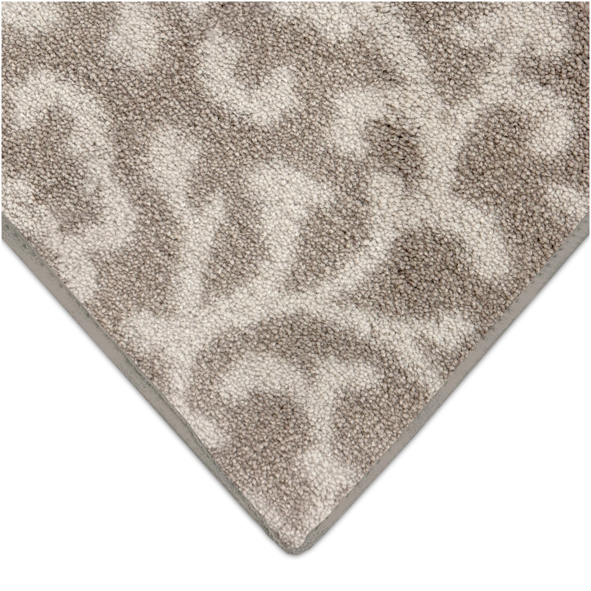 Milliken Coral Springs Indoor Area Rug | Standard Sizes & Color Options