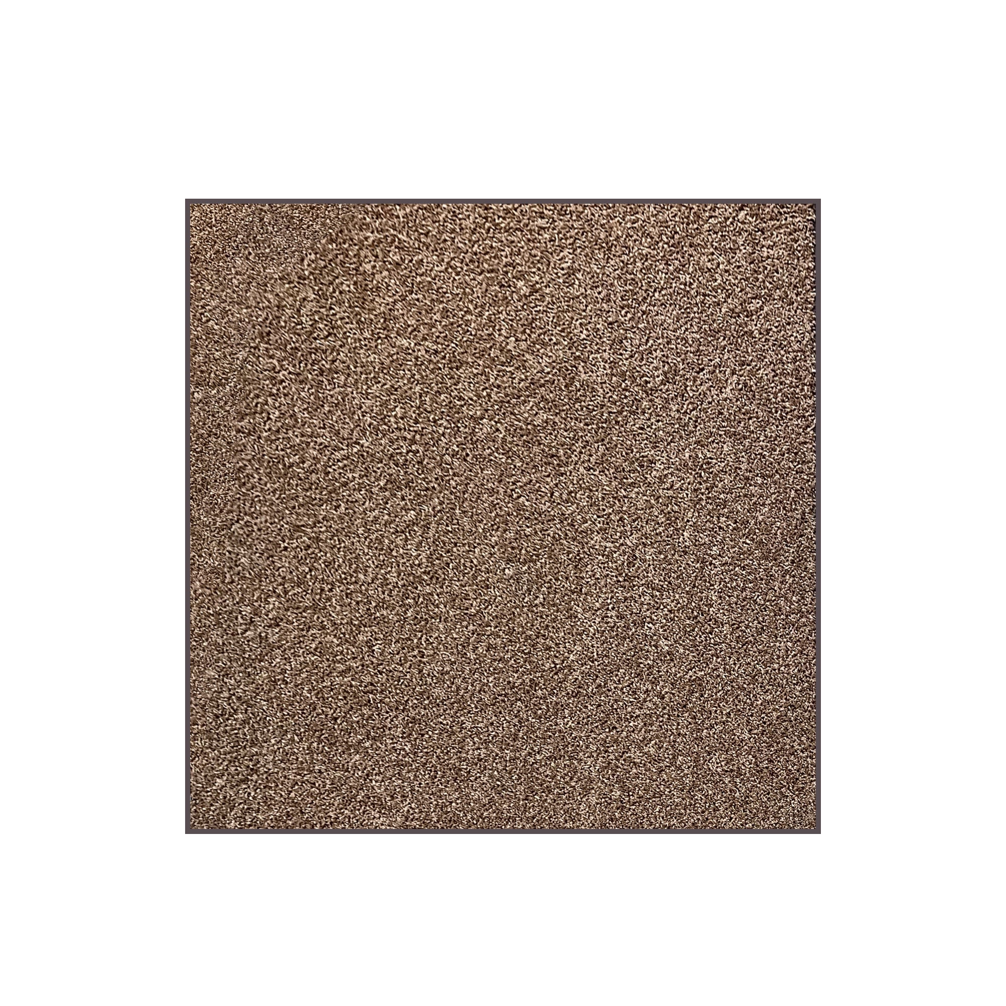 Soft & Cozy Cornerstone Frieze Area Rug