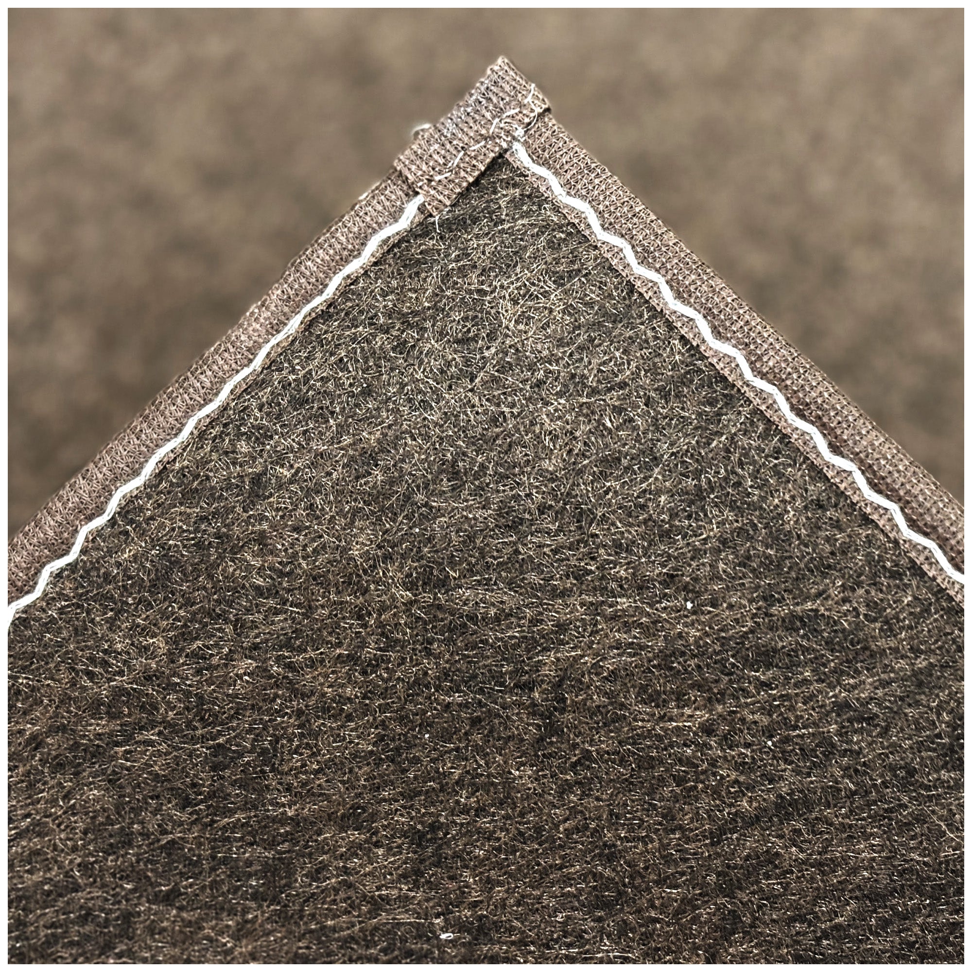 Economical Indoor/Outdoor Carpet Rug (10 Colors)