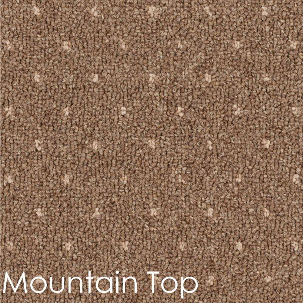 Power Point II Dog Assist Carpet Stair Treads