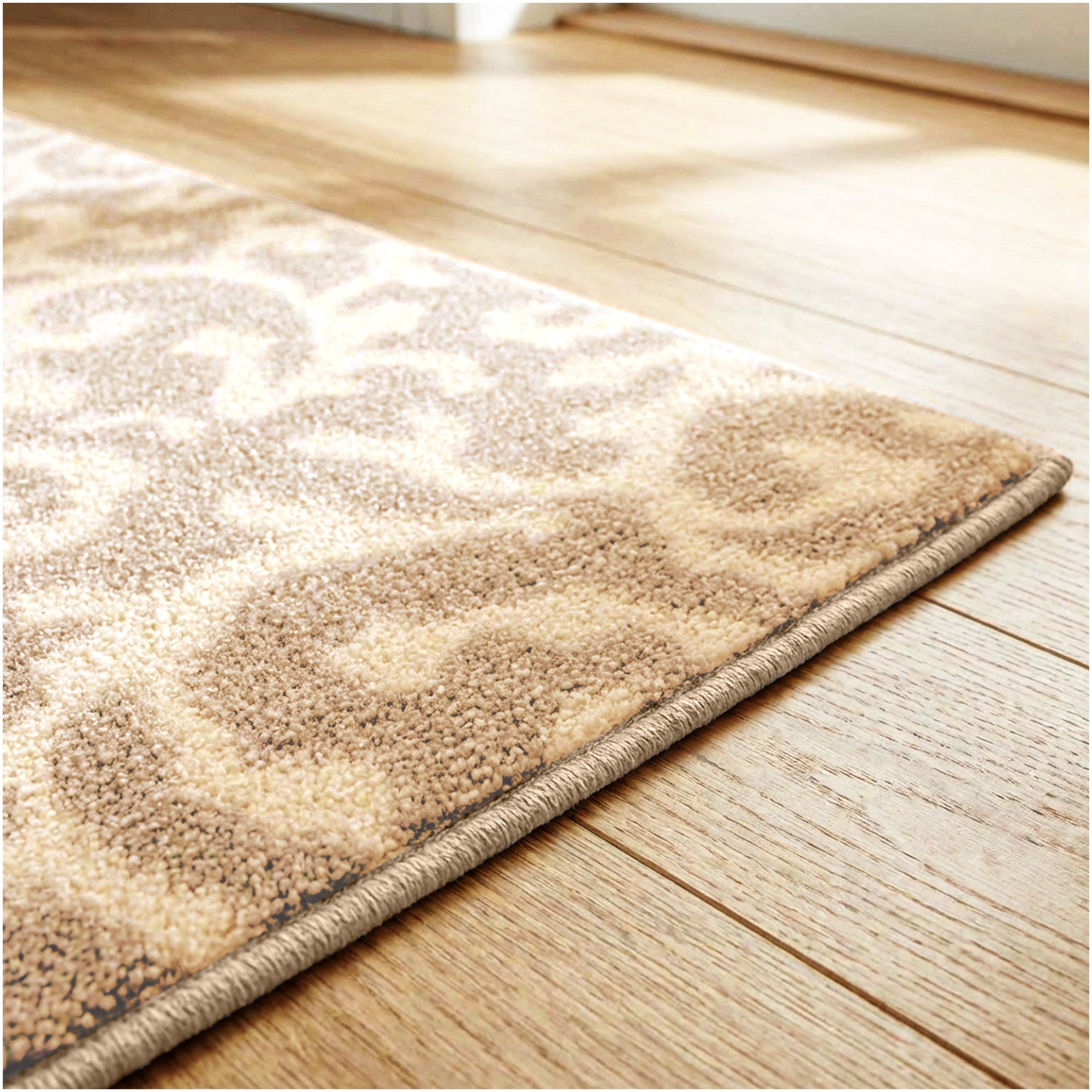 Milliken Coral Springs Indoor Area Rug | Standard Sizes & Color Options