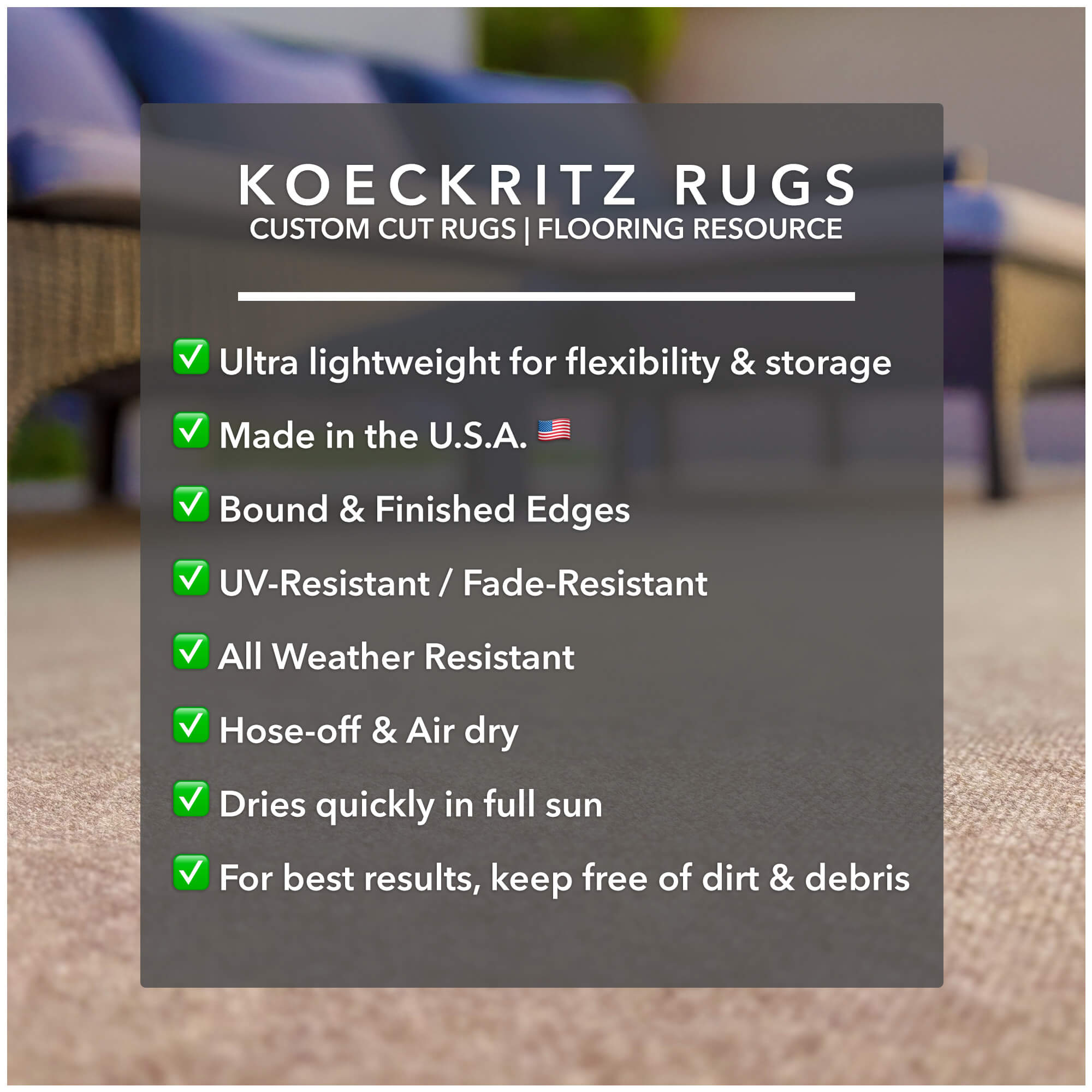 Ribbed Indoor-Outdoor Area Rug