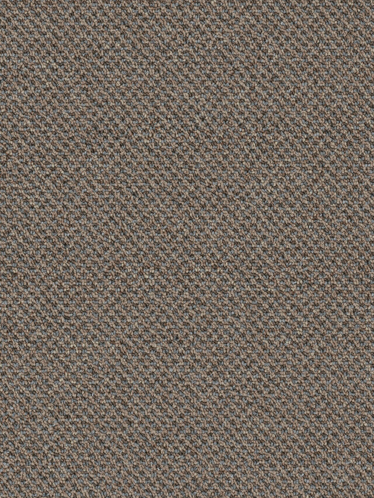 Buena Vista Dog Assist Non-Slip Carpet Stair Treads – Level Loop (Sets of 12–18)