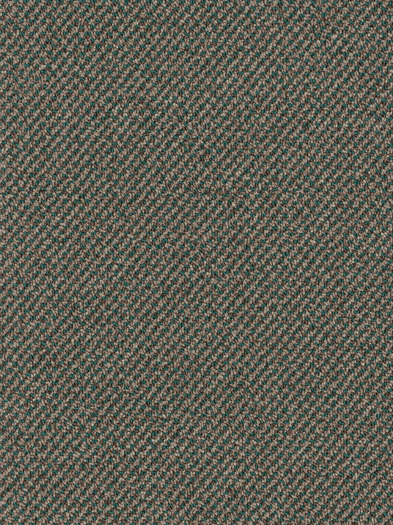 Buena Vista Thunder Graphic Loop Indoor/Outdoor Area Rug Sample