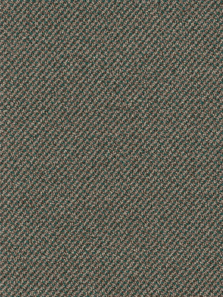 Buena Vista Thunder Graphic Loop Indoor/Outdoor Area Rug