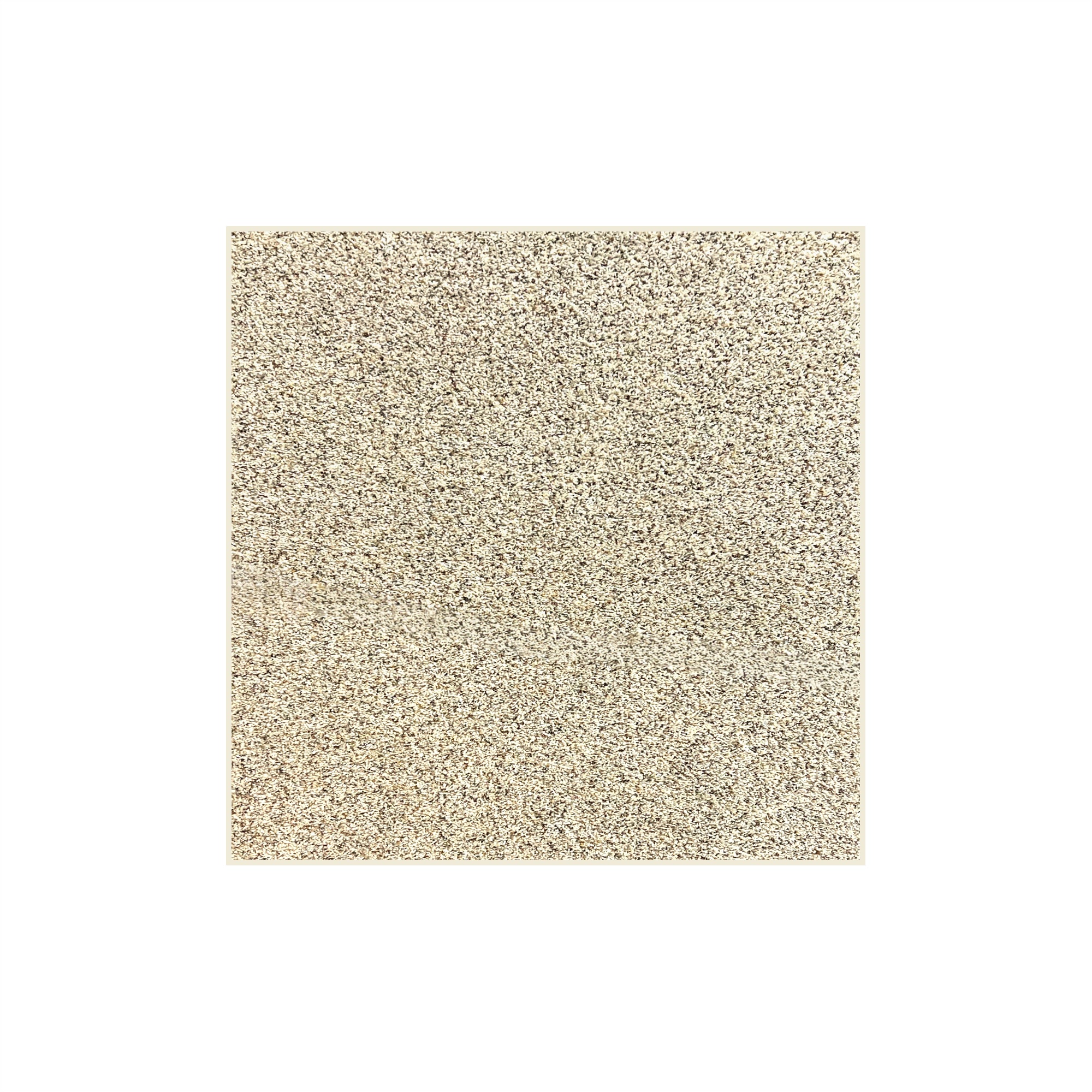 Toast of the Town Plush Frieze Area Rug