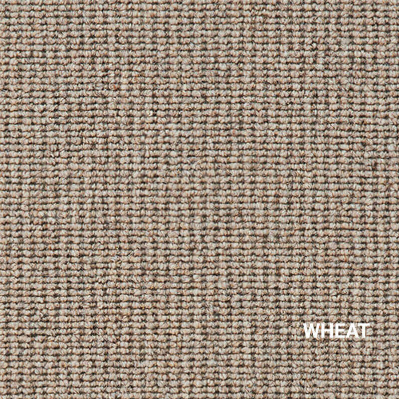 Sisal Tyme Natural Wool Area Rug by Couristan