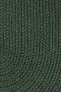 spruce green color rug
