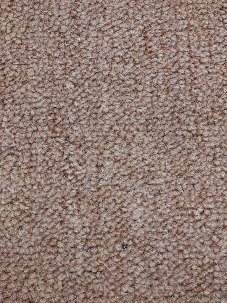 Sage Brush Indoor-Outdoor Area Rug Carpet