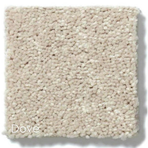 Dyersburg Cut Pile Indoor Area Rug Collection Dove