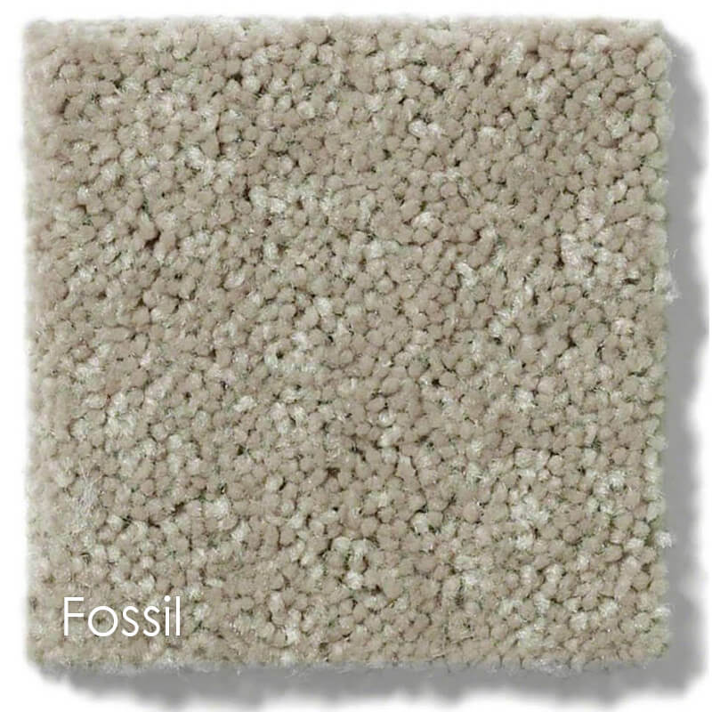 Dyersburg Cut Pile Indoor Area Rug Collection Fossil