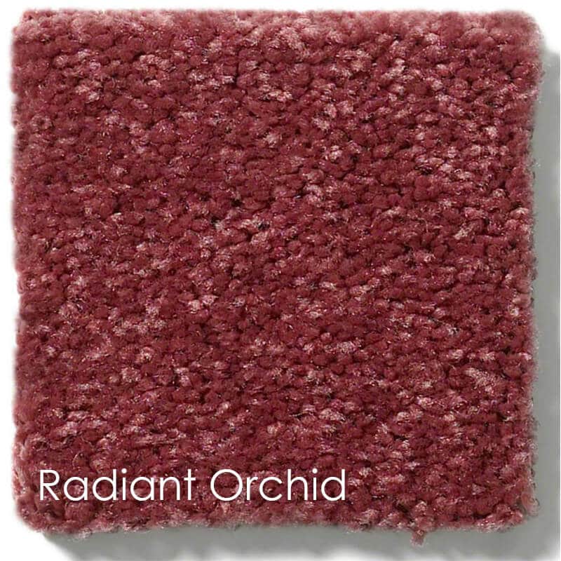Dyersburg Cut Pile Indoor Area Rug Collection Radiant Orchid