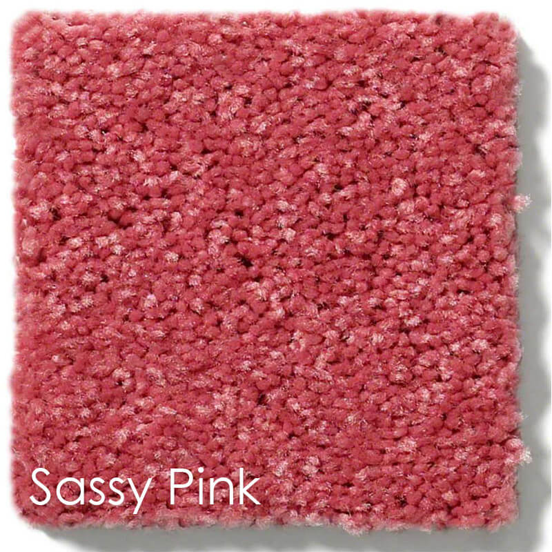 Dyersburg Cut Pile Indoor Area Rug Collection | 1/2" Thick 30 oz. Durable Cut Pile Indoor Area Rug Multiple Colors Sassy Pink