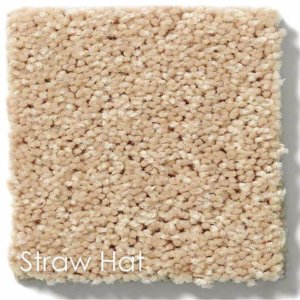 Dyersburg Cut Pile Indoor Area Rug Collection Straw Hat
